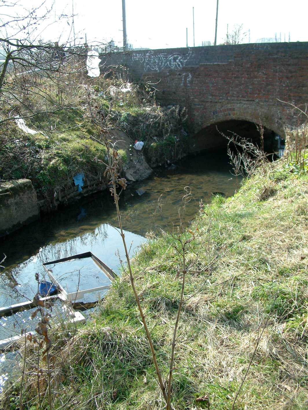 Daffodil Park (Looking upstream)